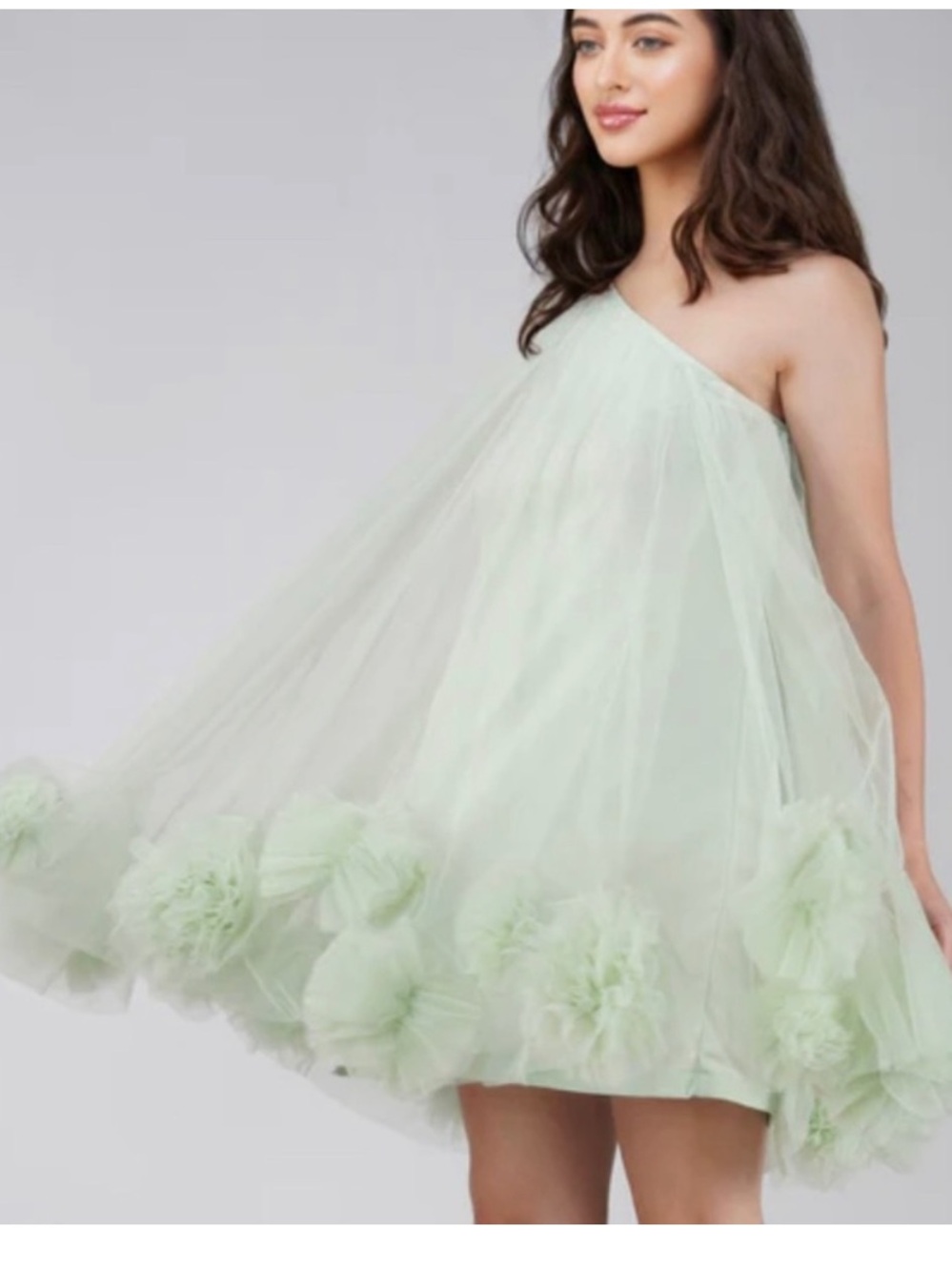 Lace & Bead sage pom Pom mini dress